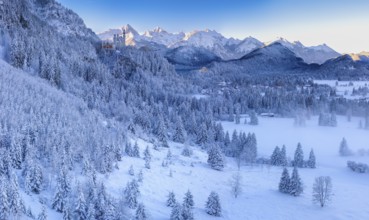 Winter mountain landscape with snow-covered trees and light fog in the valley, Neuschwanstein