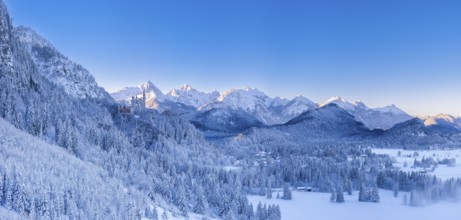 Snowy mountain landscape with a thick forest under a clear blue sky, Neuschwanstein Castle,