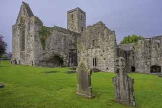 Ruins of Sligo Abbey (Dominican) founded 1253, Sligo, County Sligo, Ireland