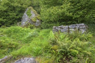 St Colman's Chapel, Burren, Keelhilla, Carran, Co. Clare, Ireland
