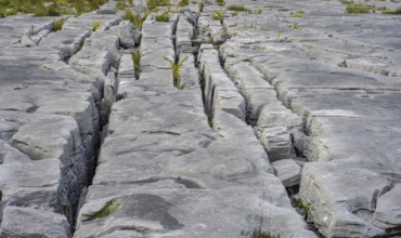 Karst landscape of the Burren, Keelhilla, Carran, County Clare, Ireland