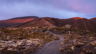 Volcanic landscape, Tama Lake Walk (Tama Lakes Track), evening light, sunset. Tongariro National
