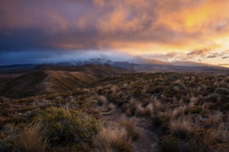 Volcanic landscape, Tama Lake Walk (Tama Lakes Track), Mt Ruapehu in clouds, evening light, sunset.