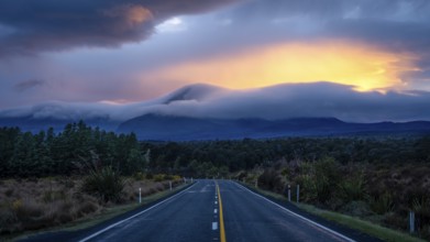 Mount Ngauruhoe in the morning at sunrise with glowing clouds, road SH 47. Tongariro National Park,