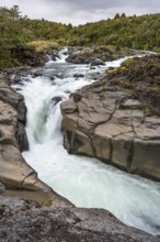 Whakapananui Stream and Mahuia Rapids, river and waterfall. Tongariro National Park, North Island,