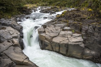 Whakapananui Stream and Mahuia Rapids, river and waterfall. Tongariro National Park, North Island,