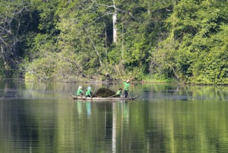 Women harvest seagrass, water channel in Angkor Thom, UNESCO World Heritage Site, Siem Reap,