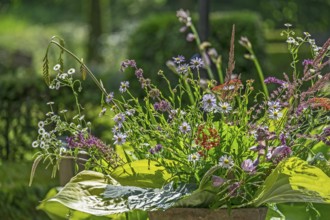 Field flower bouquet, the Netherlands