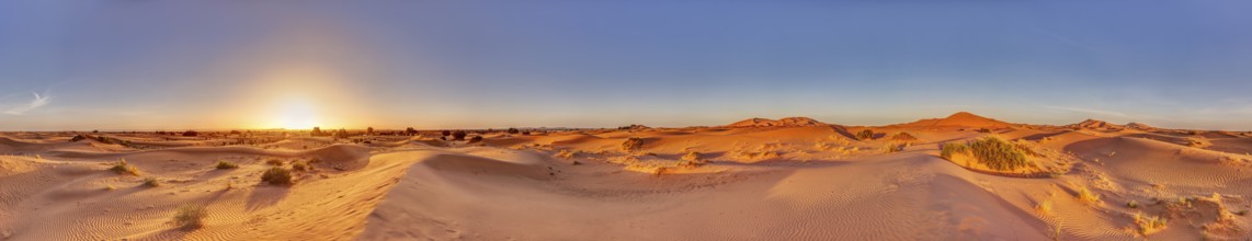 A wide panorama of sand dunes during a bright sunrise, Sahara in Morocco