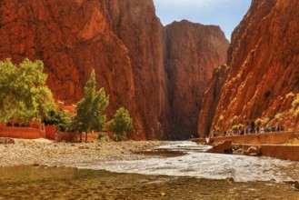Gorge with river and green trees surrounded by orange cliffs, Todra Gorge in Morocco