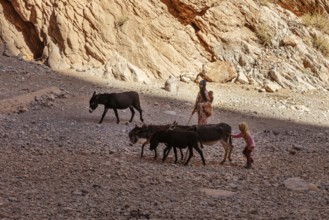 Family with donkeys on rocky ground in rocky gorge in shade, Todra Gorge in Morocco