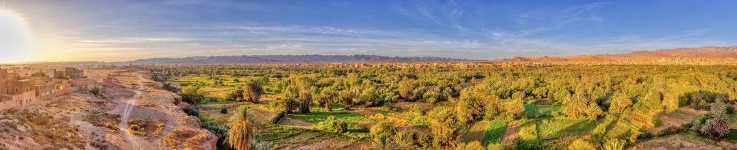 Green oasis landscape at dusk with wide sky and sunset, Tinghir in Morocco