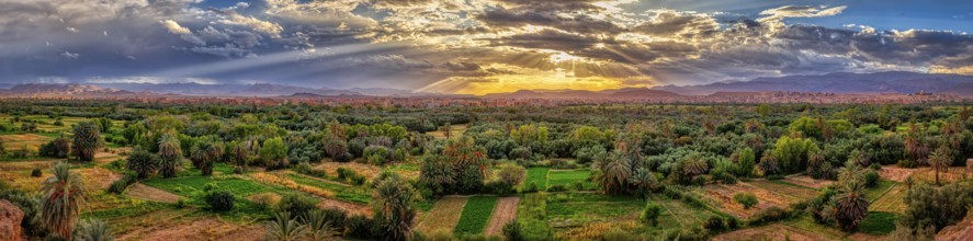 Wide green oasis landscape under a dramatic sunset sky with clouds, Tinghir in Morocco