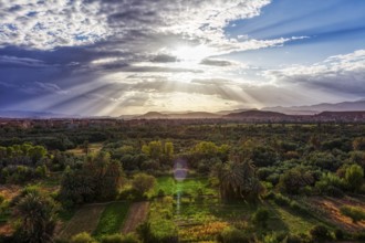 Idyllic image of an oasis pierced by sunbeams, surrounded by fields, Tinghir in Morocco