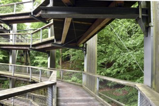 Treetop Trail on Rügen, Natural Heritage Center, Mechlenburg-Vorpommern, Germany