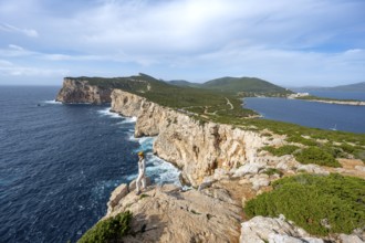 Tourist enjoying the view of steep cliffs by the sea, coastal landscape, cliffs on the Capo Caccia