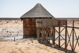 Olifantsrus Camp, waterhole, Etosha National Park, Namibia