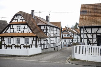 Village made entirely of half-timbered houses, Hunspach, Alsace, Bas-Rhin department, France