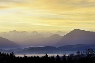 View from Horben of the midlands lying in fog, behind it the Alps with the Rigi, Beinwil-Freiamt,