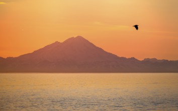 View over Cook Inlet to white mountain peaks of Mount Redoubt, at sunset, picturesque golden light