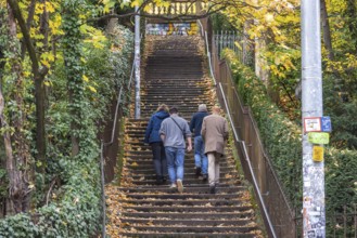Willy Reichert squadron. There are up to 400 stables in Stuttgart. The stairs not only serve as a