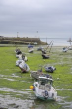 Fishing boats lie aground in harbor at low tide, Barfleur, Manche department, France