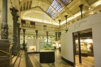 National Museum of Ireland, Dublin, County Dublin, Ireland