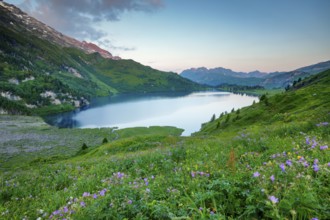 Engstlensee near Engstlenalp with Rothorn and Glogghues in the background, Canton of Bern,