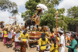 The mortal remains of a deceased person are placed in an animal sarcophagus (wadha) during the