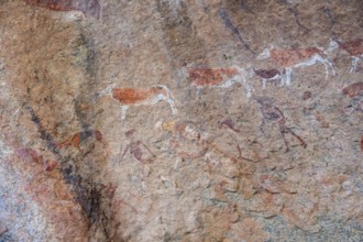 White Lady Rock Painting, White Lady Painting, Depiction of Hunters and Animals, Rock Paintings in