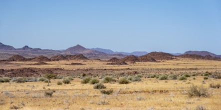 Desert landscape, barren landscape with hills of stacked rocks, Brandberg, Erongo, Damaraland,