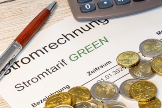 Close-up of a symbolic electricity bill