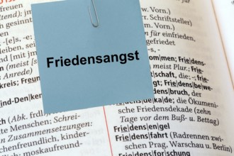 (photo montage) Notes with the inscription FEAR OF PEACE in front of a duden***The term has