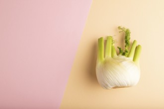 Fresh Fennel bulb on pink and orange pastel paper background, top view, flat lay, copy space,