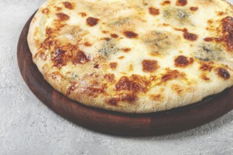 Freshly baked cheese pizza, white pizza, on a wooden plate, homemade, no people