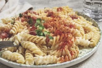 Fusilli pasta with cheese and bacon, homemade, no people