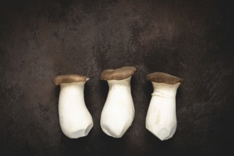 Fresh eringi mushrooms, raw, royal oyster mushrooms, three pieces, Asian cuisine, no people