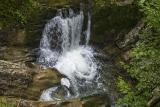 Rottach Wasserfall, Rottach-Egern, Mangfall Mountains, Upper Bavaria, Bavaria, Germany
