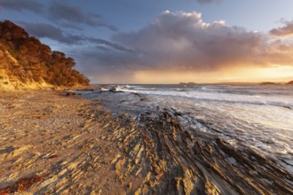 A riot of colors on North Head Beach on the east coast of Australia. Sunset over Rhettman Point