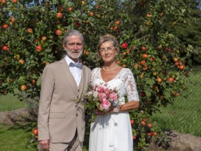 Elderly couple's wedding, look in front of a tree with lots of red apples