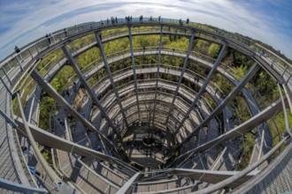Steigerwald Baupfad Ebrach Germany