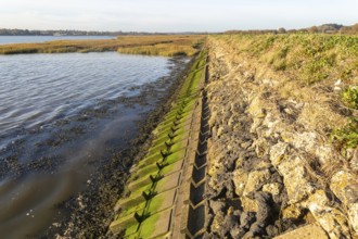 River Deben earthwork bank flood defence wall, Sutton, Suffolk, England, UK