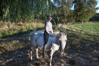 Young girl sitting on her white mare under a willow (Salix), Othenstorf, Mecklenburg-Western