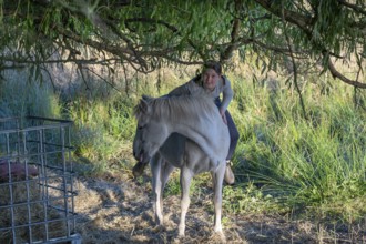 Young girl sitting on her horse in the pasture, Othenstorf, Mecklenburg-Western Pomerania, Germany