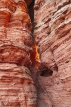 Evening rock glowing in spring at Altschloßfelsen in Eppenbrunn Palatinate, Germany