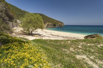 The beach of Kalamos, island of Euboea or Evia, Greece
