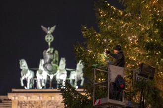 The big Christmas tree in front of the Brandenburg Gate, on Pariser Platz, is decorated with fairy