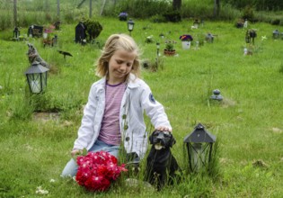 Grieving blonde 7-year-old girl at her dog's grave at pet cemetery in Ystad, Skåne County, Sweden,