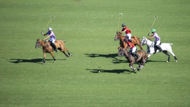 Scene at the 132nd Argentinean Open Polo Championship (Spanish 132nd Abierto Argentino de Polo de
