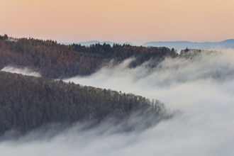 View from the Gisliflue of the Jura foothills covered in fog, in the light of dawn, Talheim,